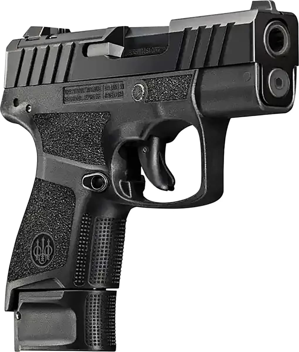 Beretta APX A1 Carry — image 2