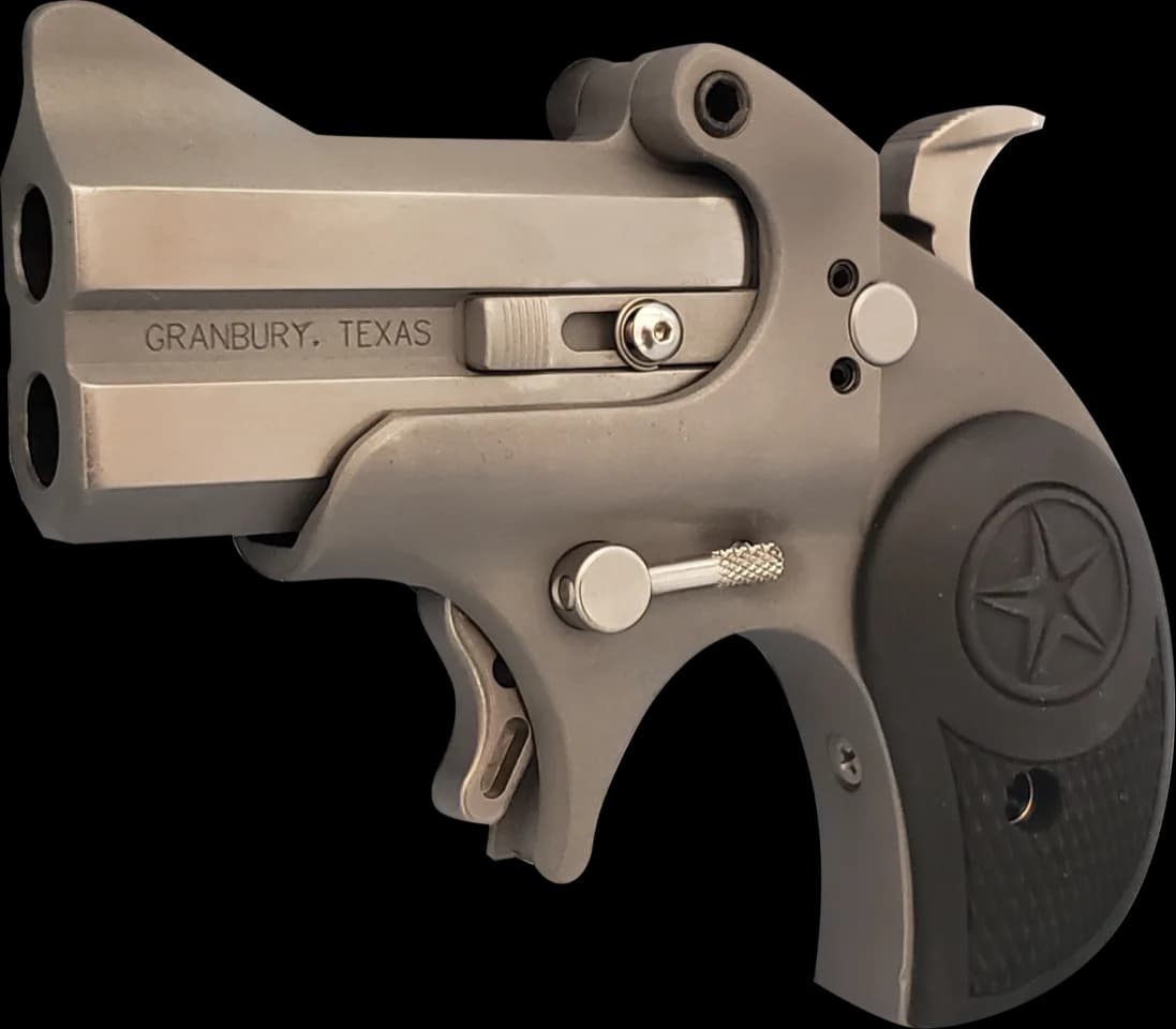 Bond Arms Rawhide