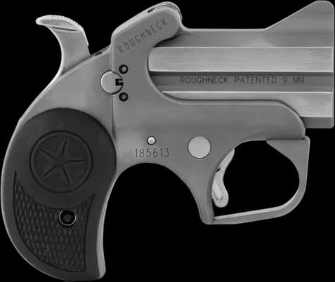 Bond Arms Roughneck — image 1