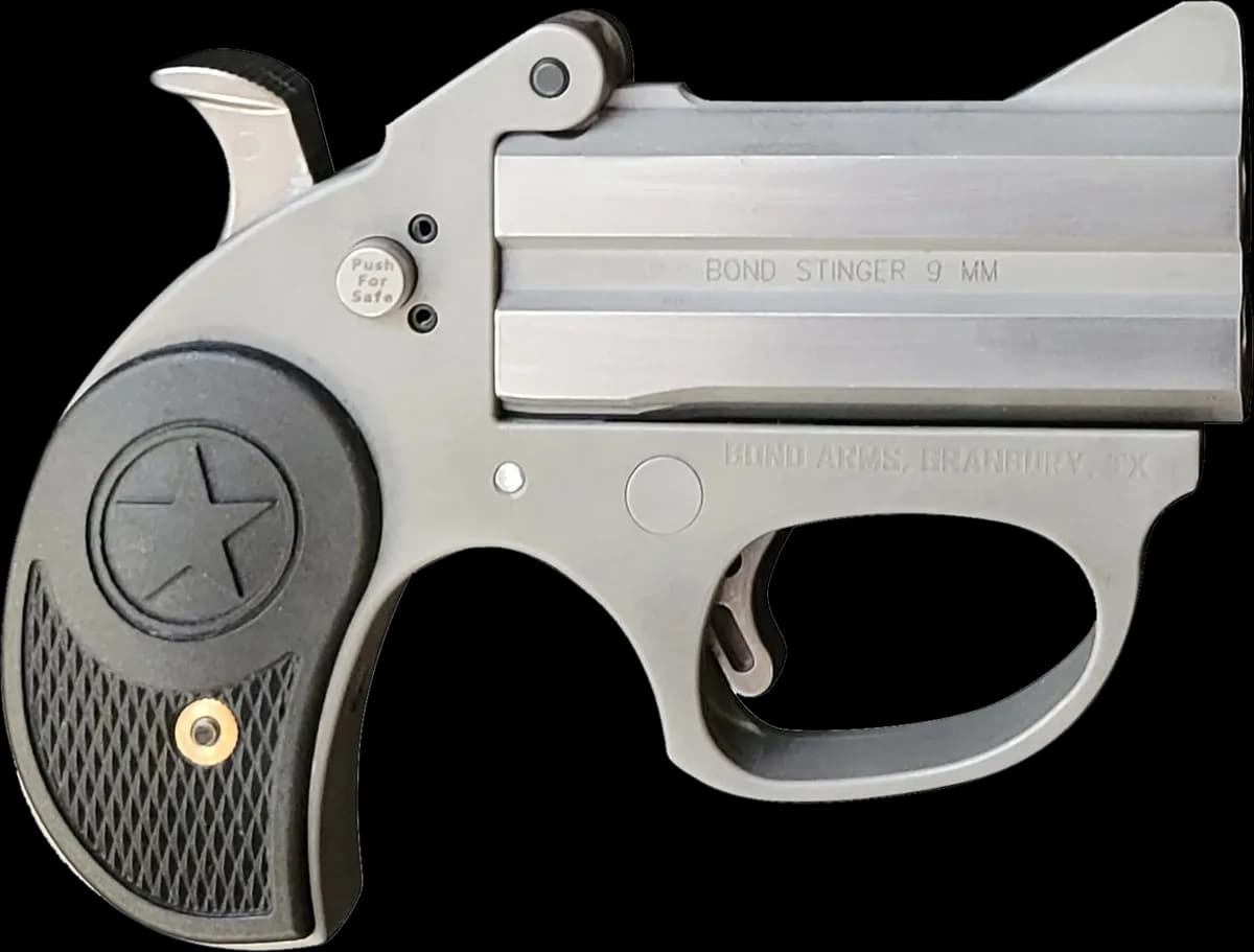 Bond Arms Stinger