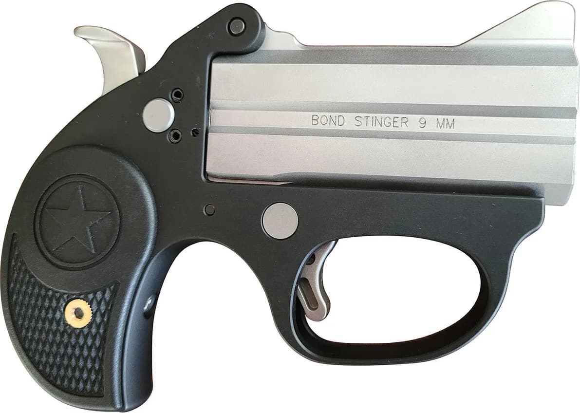 Bond Arms Stinger