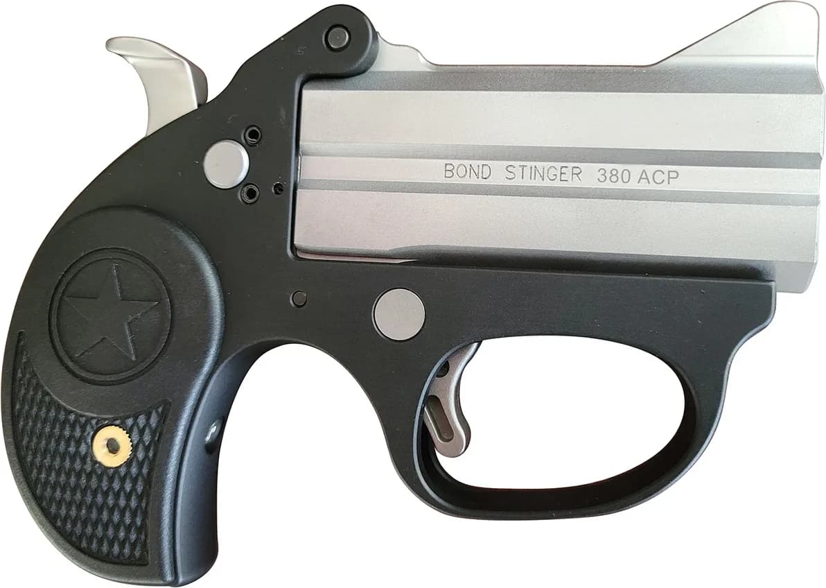 Bond Arms Stinger