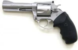 Charter Arms Pitbull