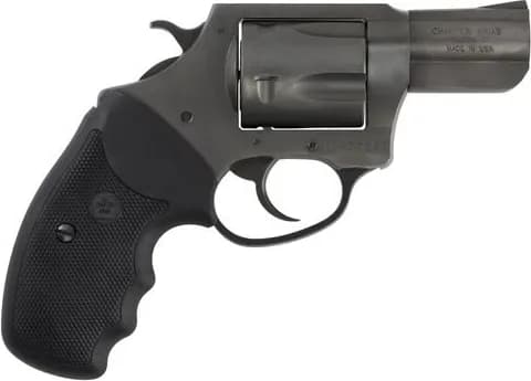 Charter Arms Pitbull