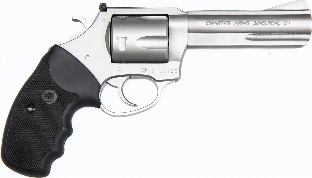 Charter Arms Pitbull
