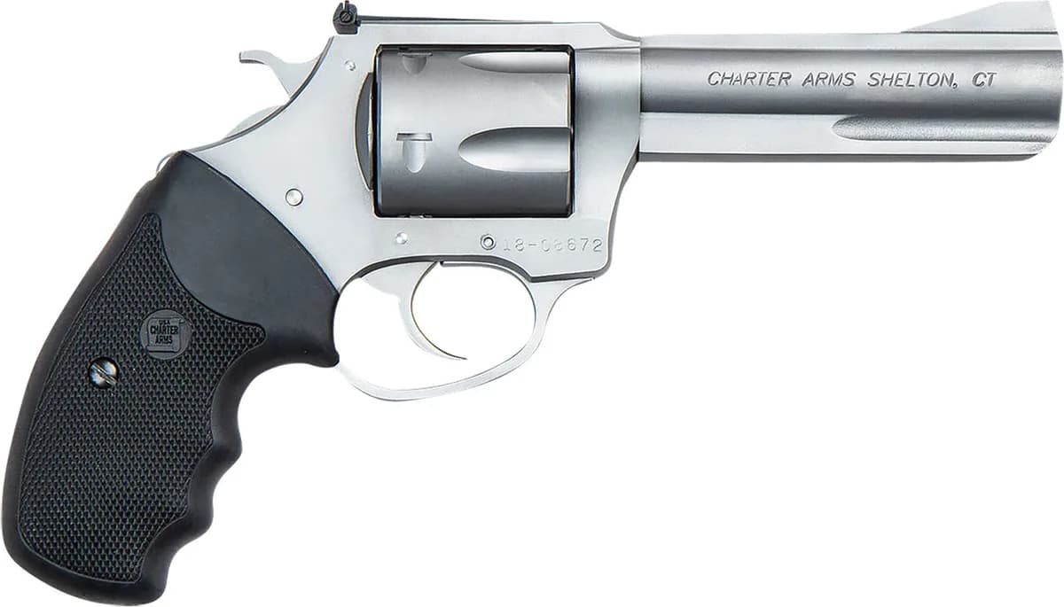 Charter Arms Professional