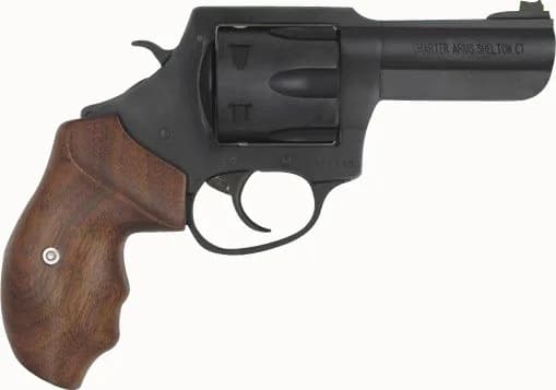 Charter Arms Professional