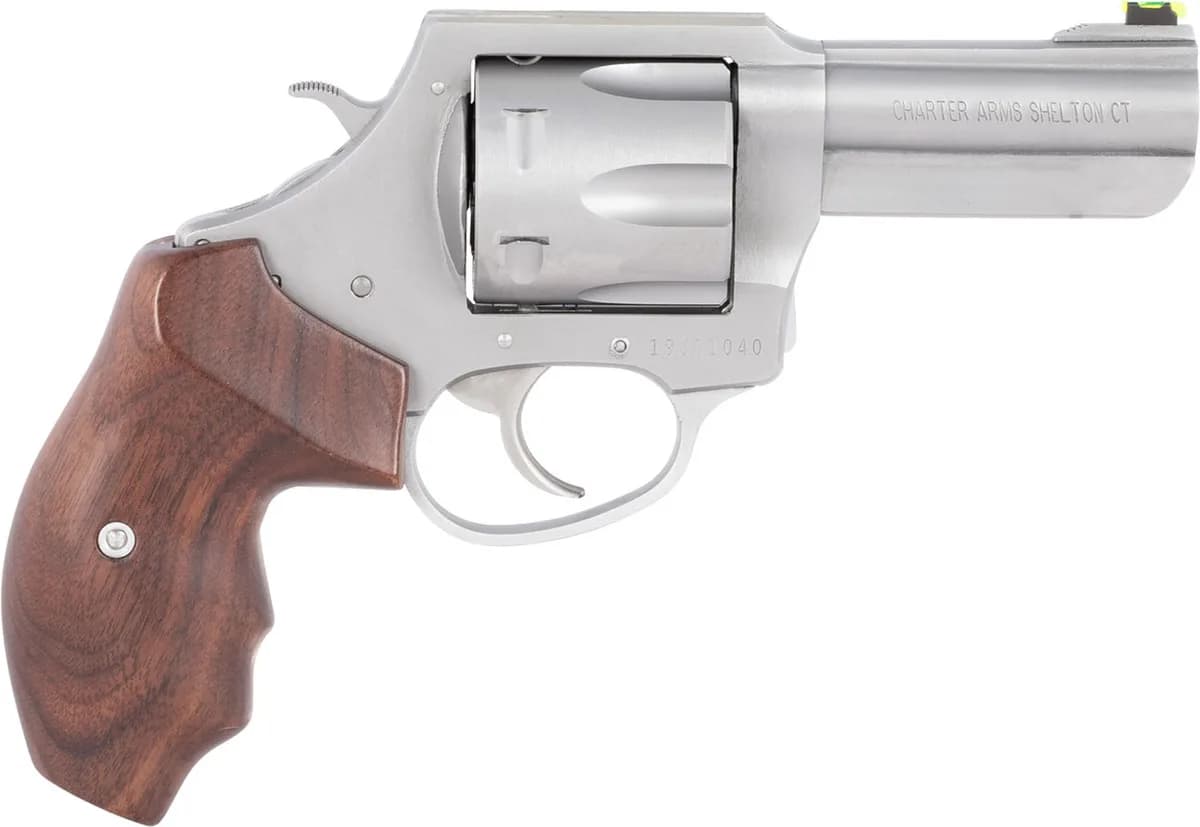 Charter Arms Professional