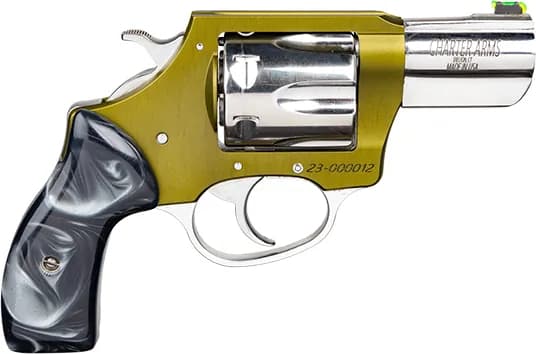 Charter Arms Undercover II