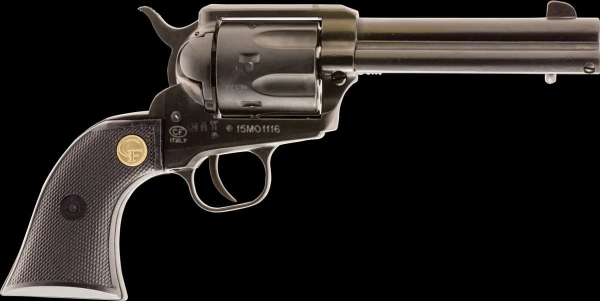 Chiappa 1873