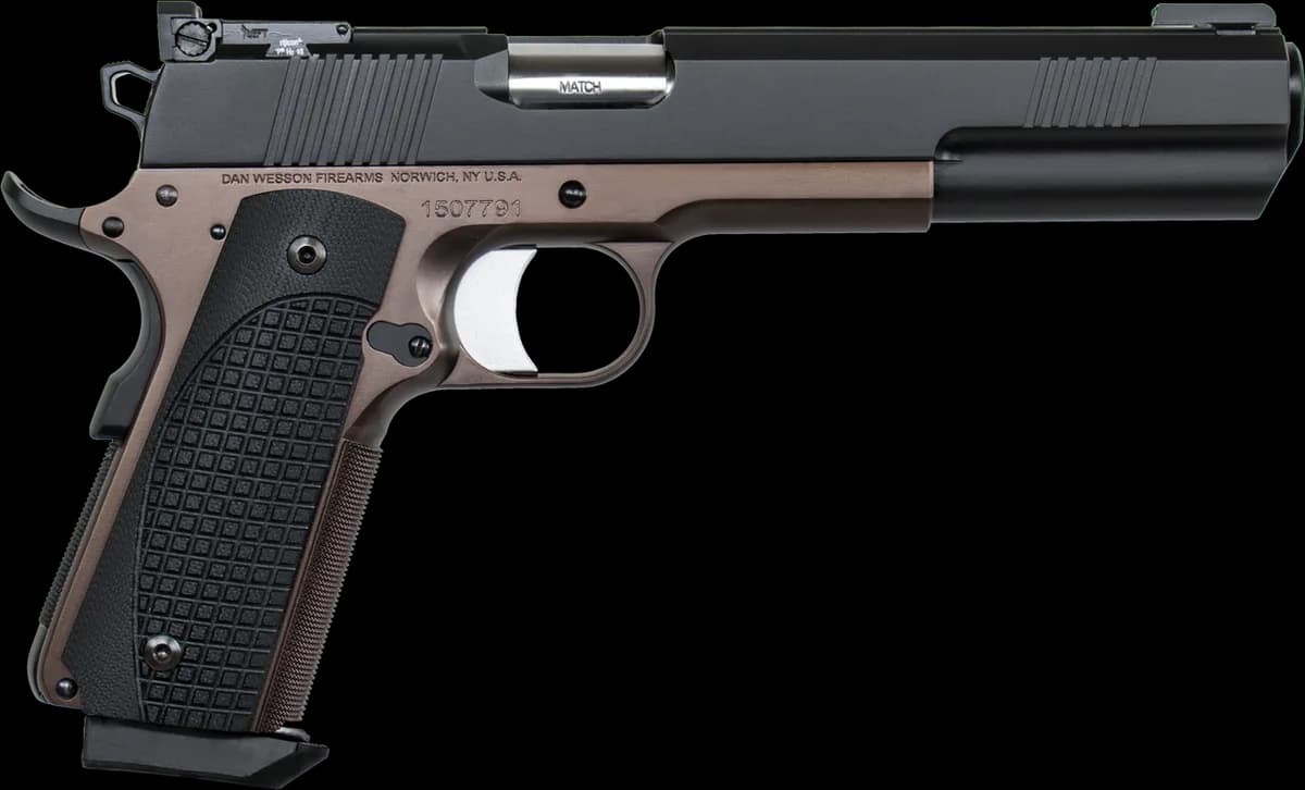 CZ-USA Dan Wesson Bruin — image 1