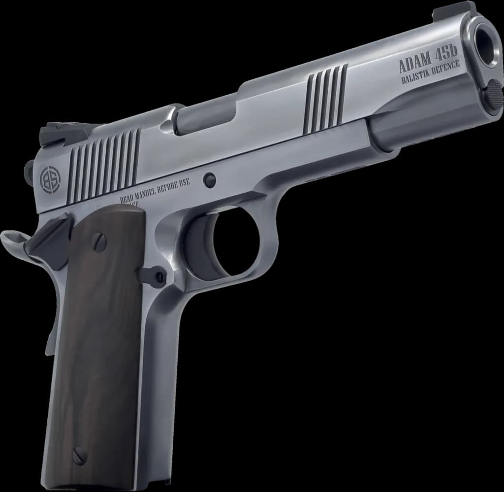 Dickinson Arms Dickinson 1911