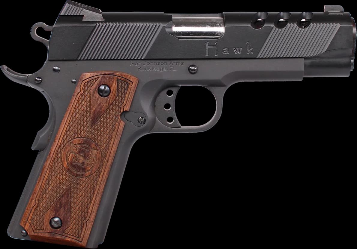 Iver Johnson Hawk — image 1