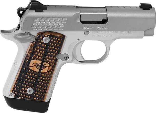 Kimber Micro 9 Stainless Raptor