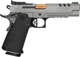 Kimber Stainless
