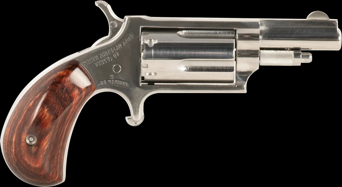 North American Arms , 1-5/8 Barrel, 22 WMR