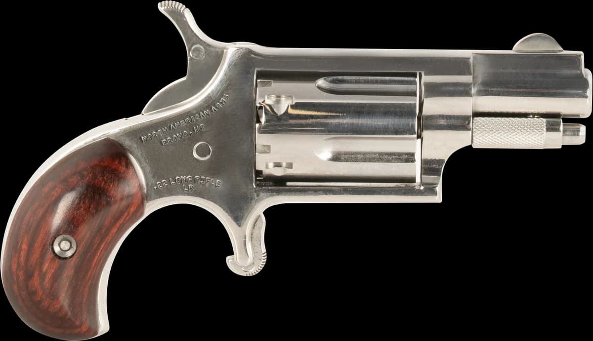 North American Arms LDLX 22 LR