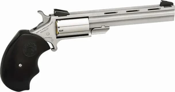 North American Arms Mini-Master