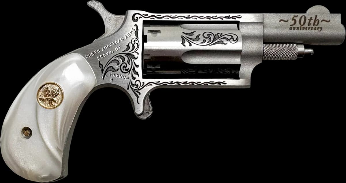 North American Arms NAA Mini