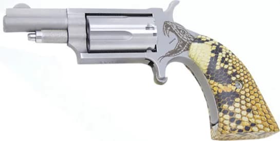 North American Arms NAA Mini