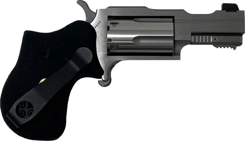North American Arms NAA Mini