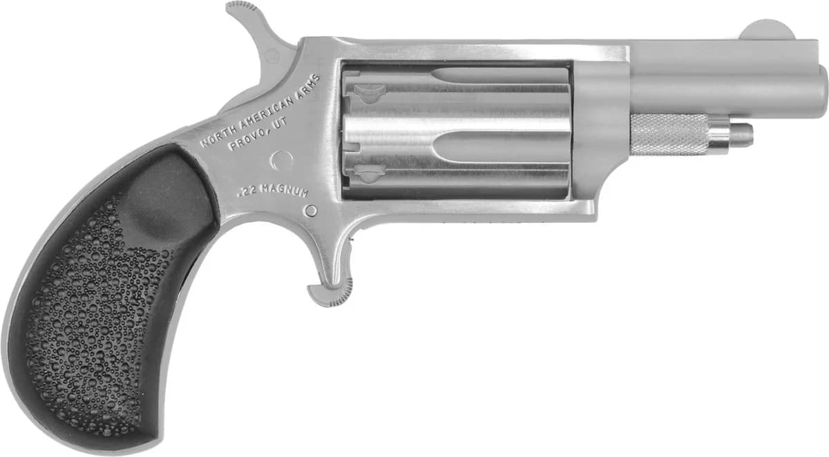 North American Arms NAA Mini Revolver