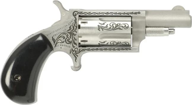 North American Arms NAA Mini-Revolver
