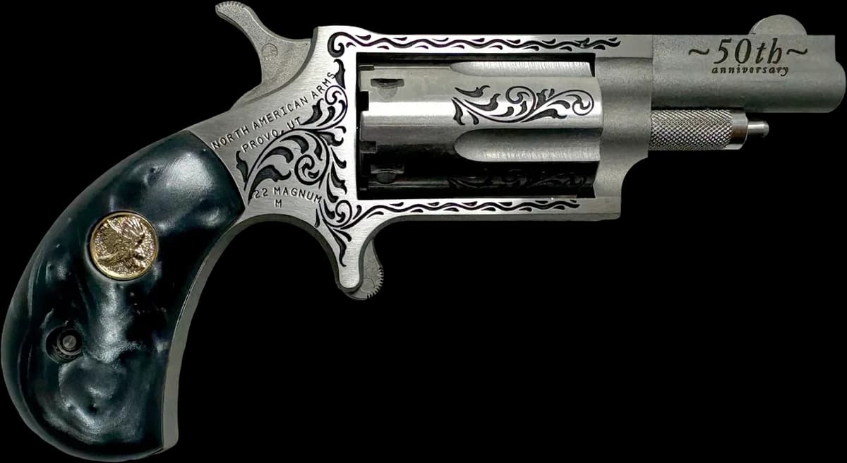 North American Arms NAA Mini
