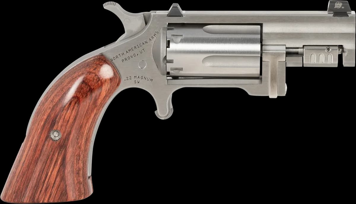 North American Arms NAA Sentinel