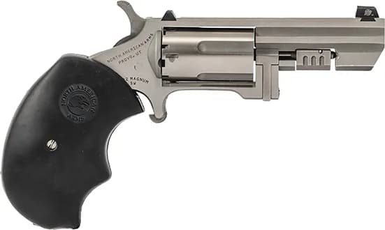 North American Arms Recluse