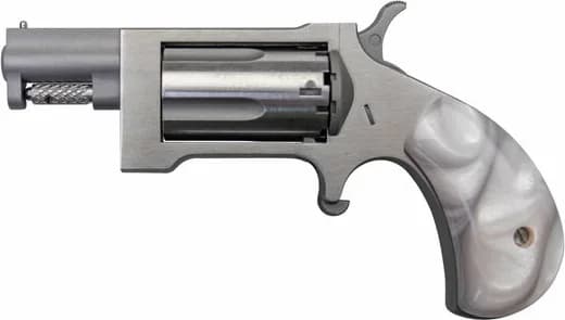 North American Arms Sidewinder