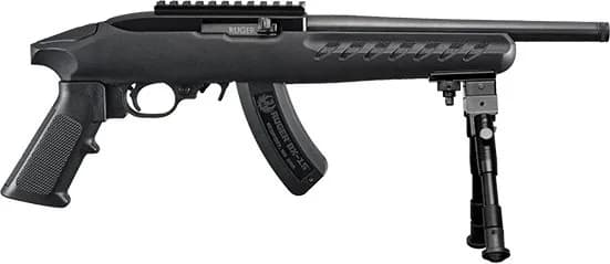 Ruger 22 Charger