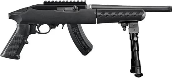 Ruger 22 Charger Takedown