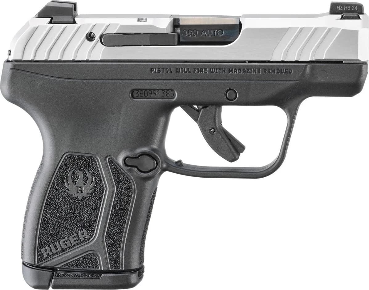 Ruger LCP MAX — image 2