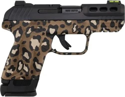Ruger Security .380