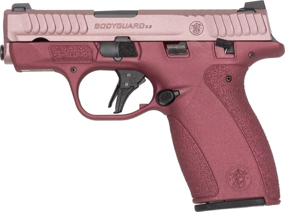Smith & Wesson Bodyguard 2.0