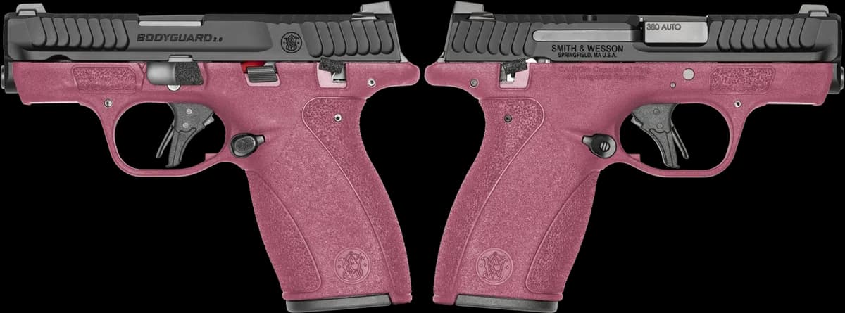 Smith & Wesson Bodyguard 2.0