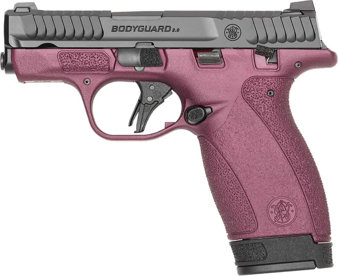Smith & Wesson Bodyguard — image 2