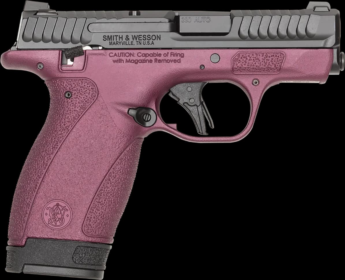 Smith & Wesson Bodyguard