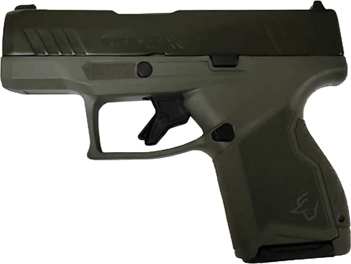Taurus GX4 — image 2