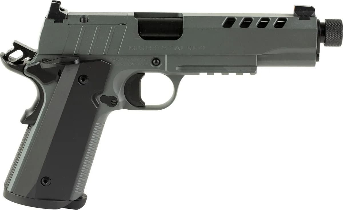 Tisas 1911 Night Stalker — image 2