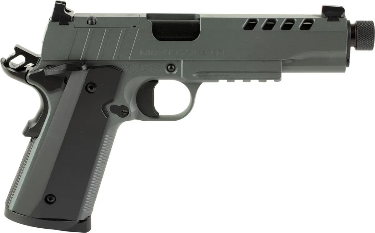 Tisas 1911 Night Stalker — image 2