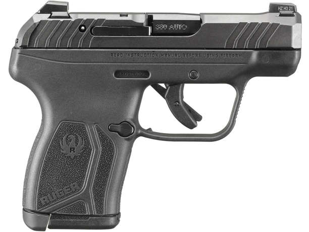 Ruger LCP MAX With Lockbox